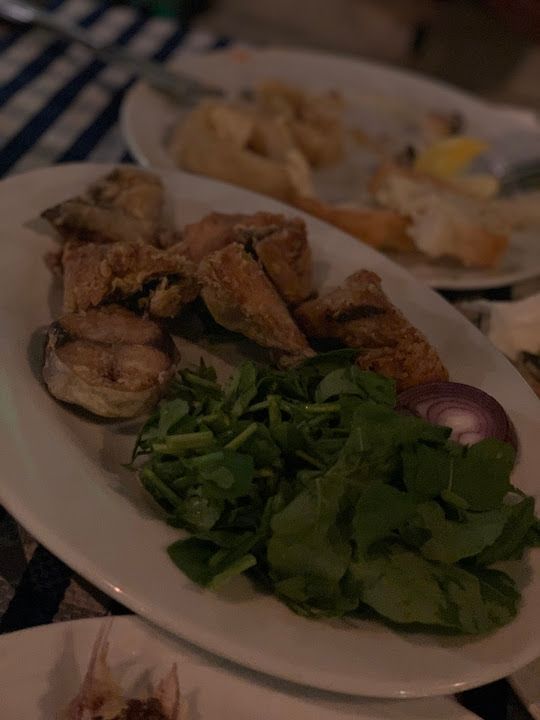 Fotoğraf 16
