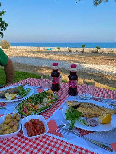 Yorum fotoğrafı 2