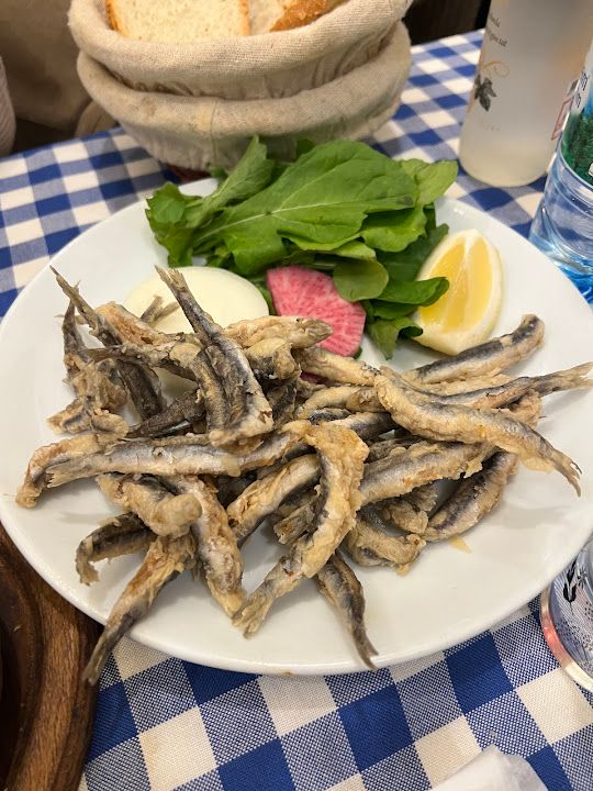 Fotoğraf 41
