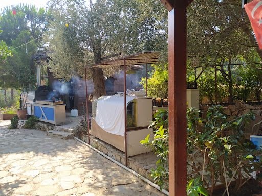 Yorum fotoğrafı 8