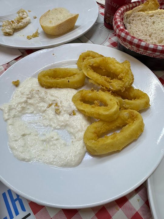 Fotoğraf 24