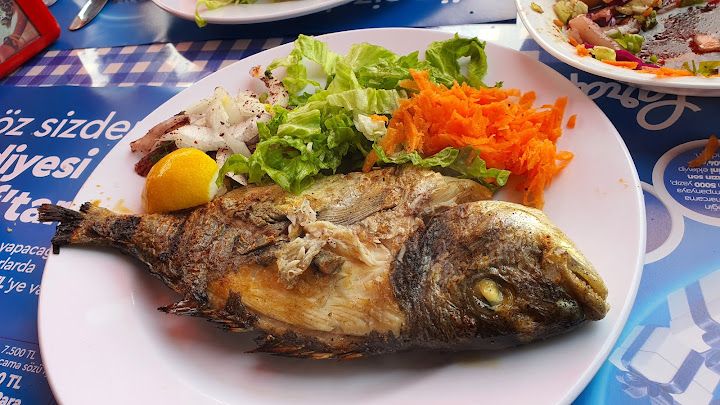 Fotoğraf 19