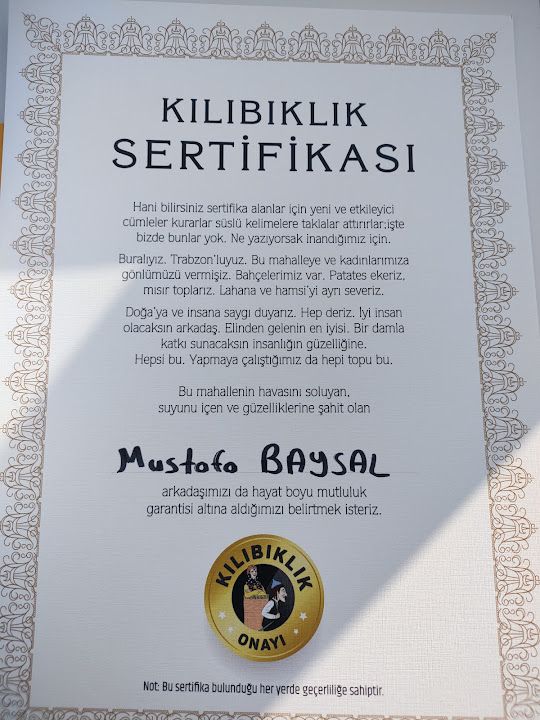 Yorum fotoğrafı 3