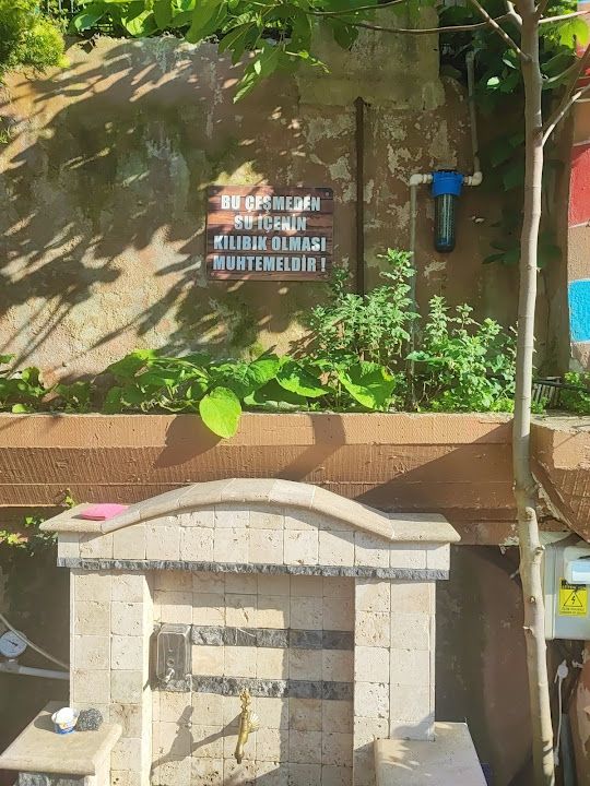 Yorum fotoğrafı 2