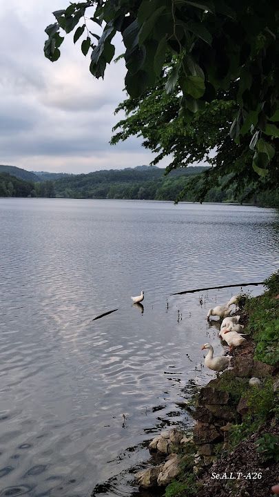 Fotoğraf 33