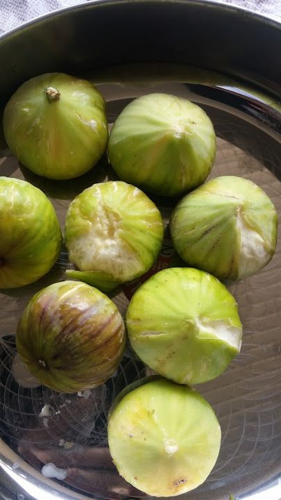 Fotoğraf 13