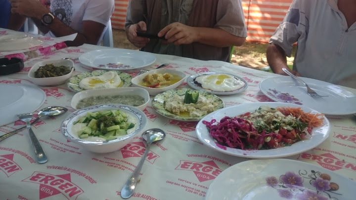 Fotoğraf 12