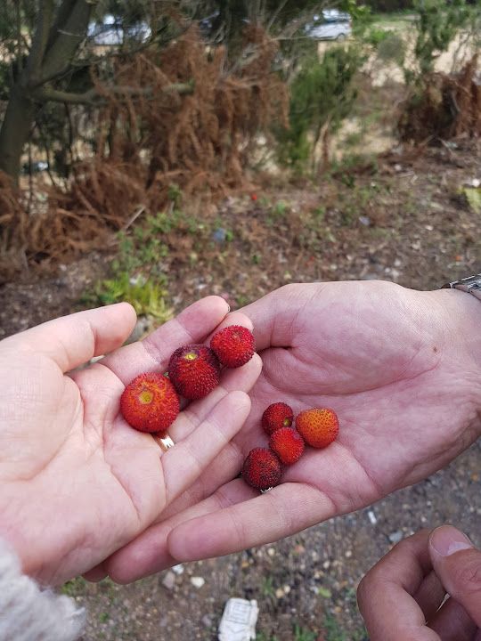 Fotoğraf 51