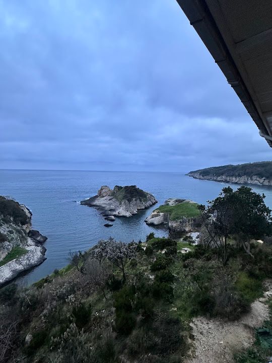 Fotoğraf 31