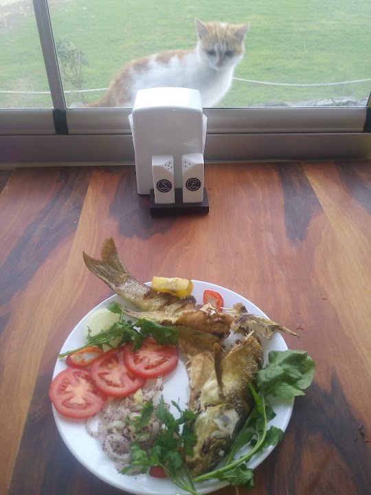 Fotoğraf 23