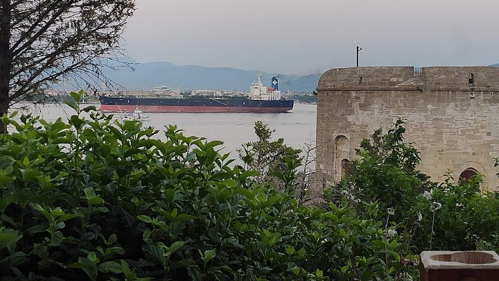 Yorum fotoğrafı 4