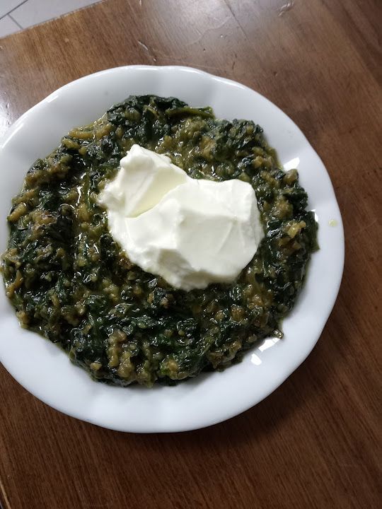 Fotoğraf 12