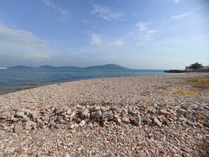 Fotoğraf 13