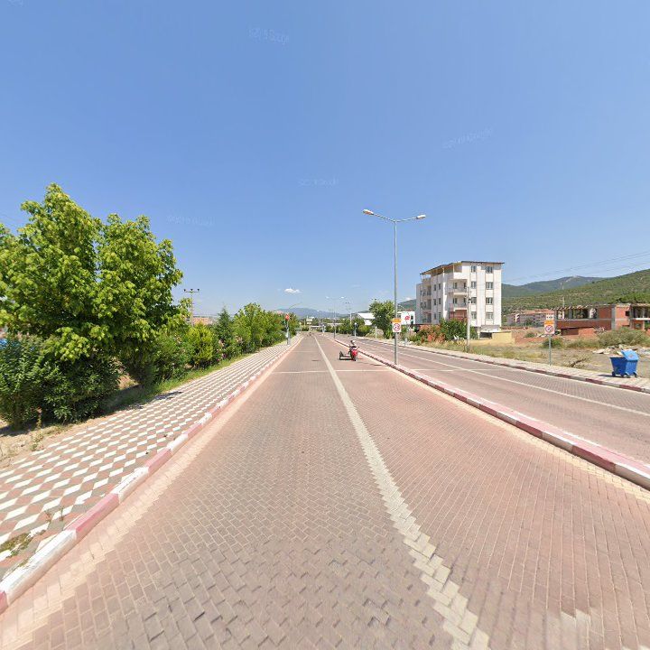 Fotoğraf 7