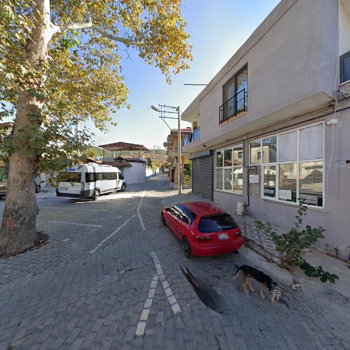 Fotoğraf 3
