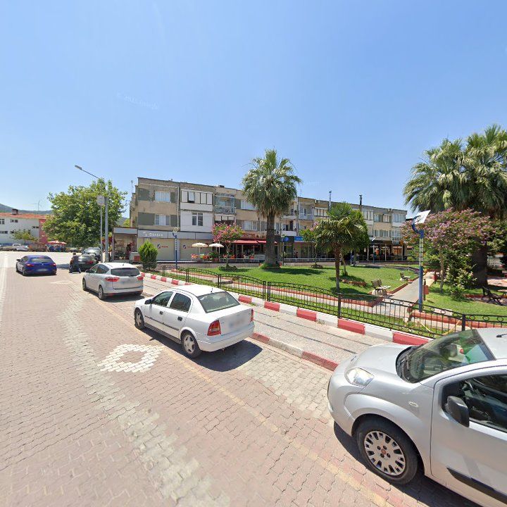 Fotoğraf 6