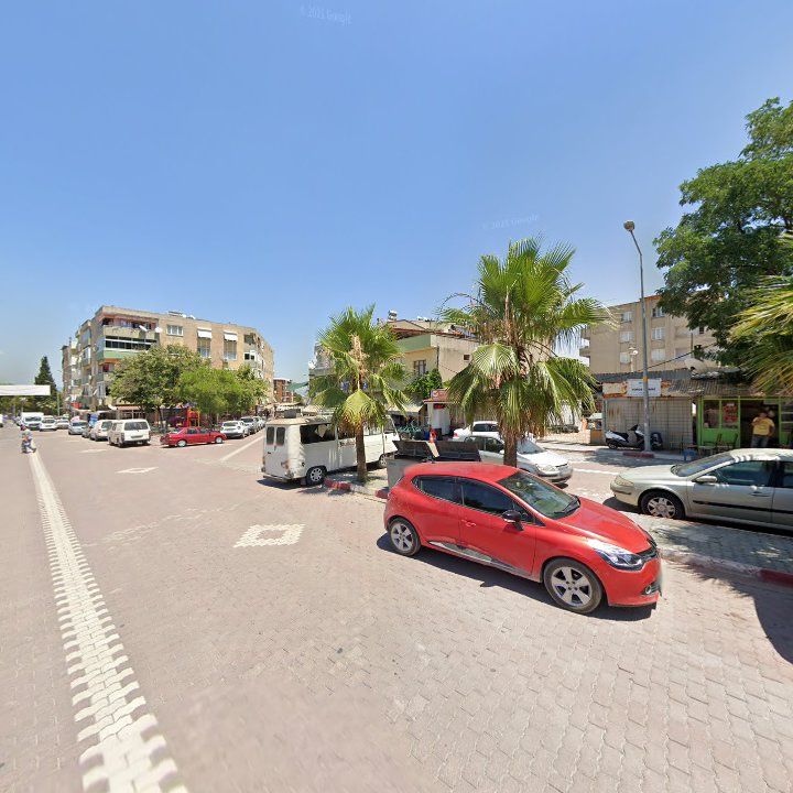 Fotoğraf 8