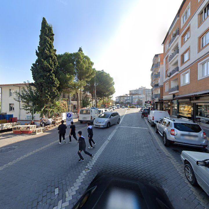 Fotoğraf 7