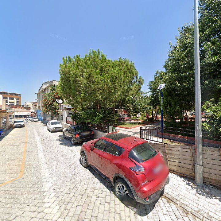 Fotoğraf 9