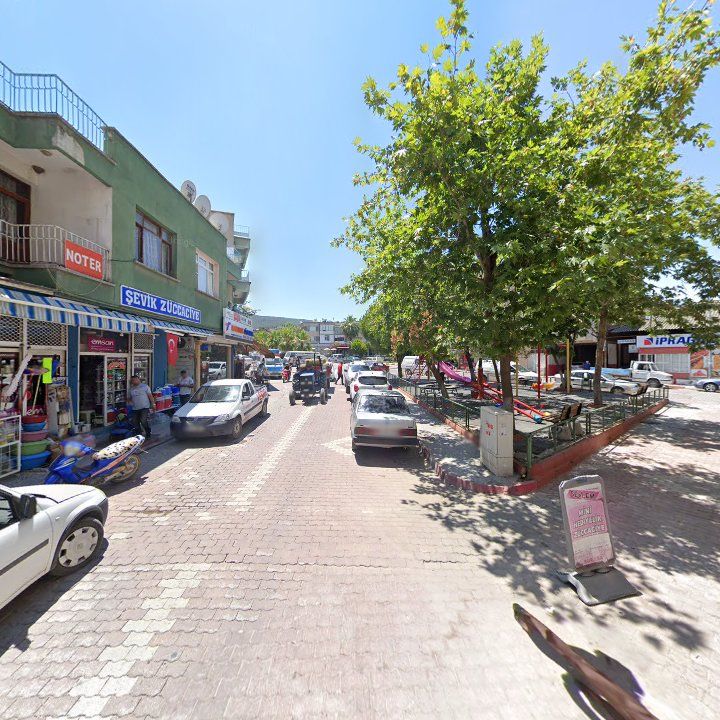 Fotoğraf 6