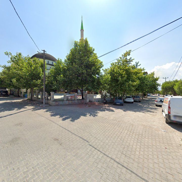 Fotoğraf 5