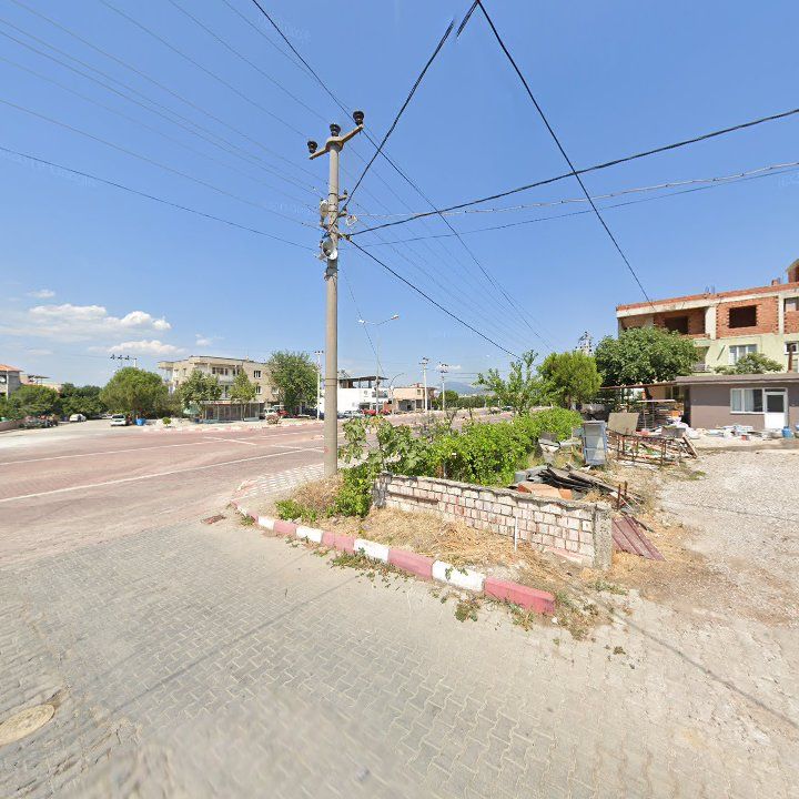 Fotoğraf 7