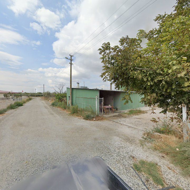 Fotoğraf 10