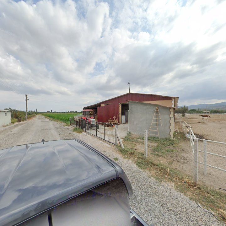 Fotoğraf 8