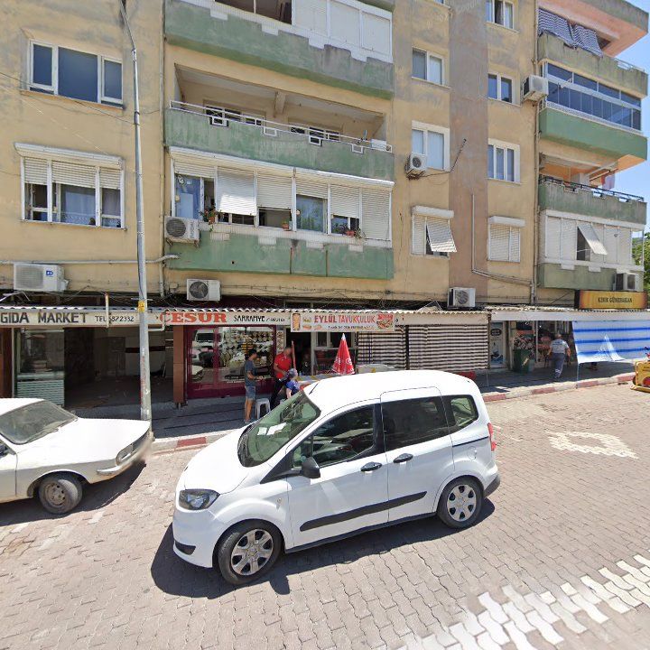 Fotoğraf 8
