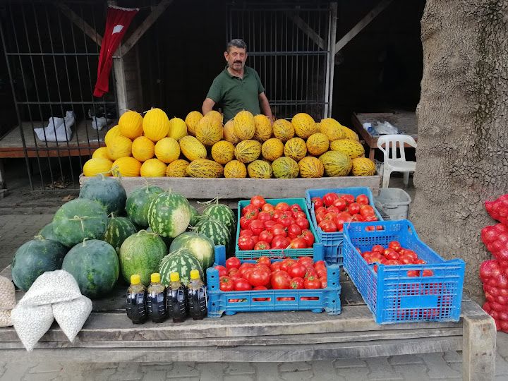 Fotoğraf 33