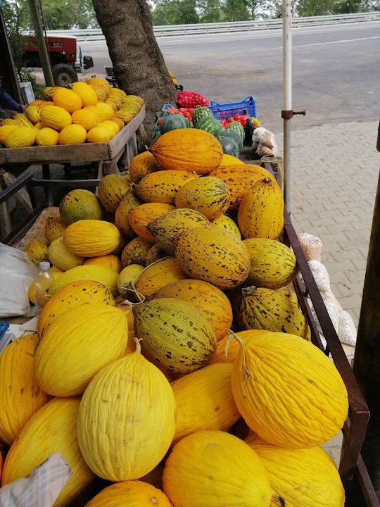 Fotoğraf 34