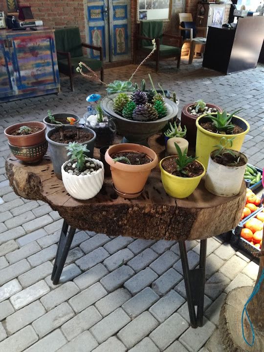 Fotoğraf 41