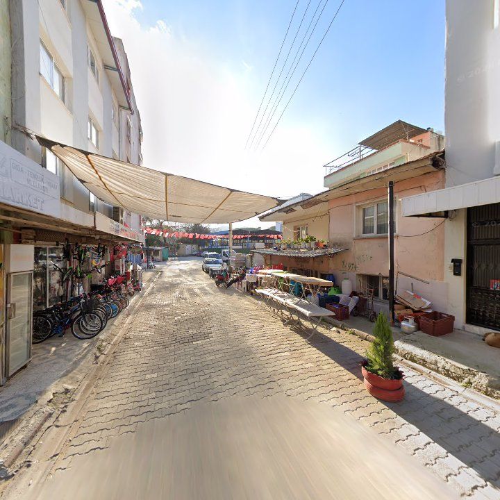 Fotoğraf 7