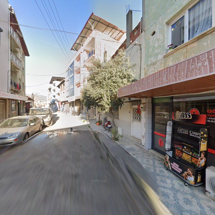 Fotoğraf 9