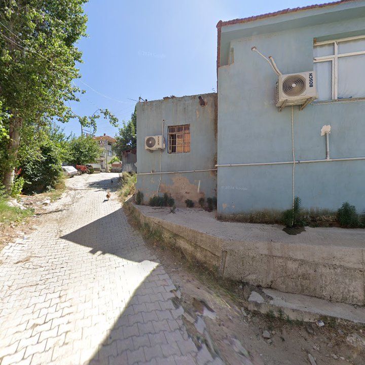 Fotoğraf 3