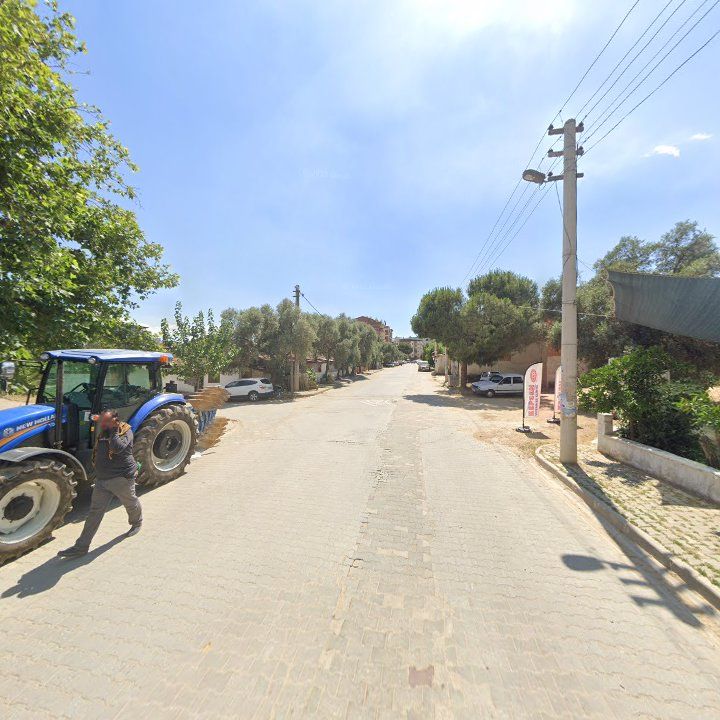 Fotoğraf 7
