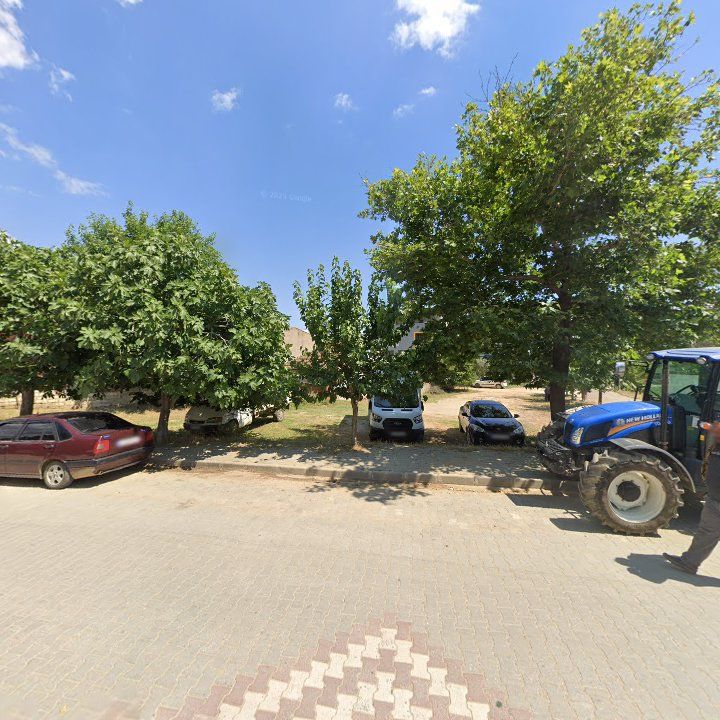 Fotoğraf 6