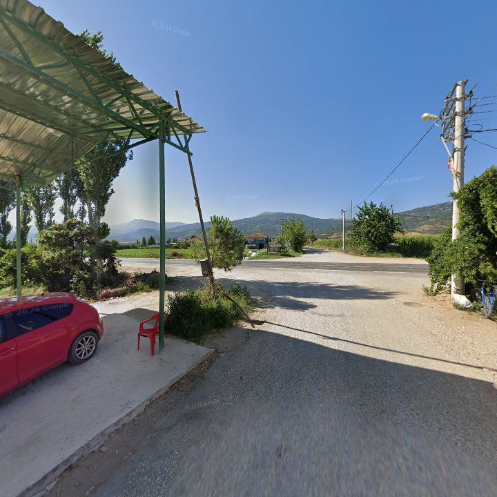 Fotoğraf 8