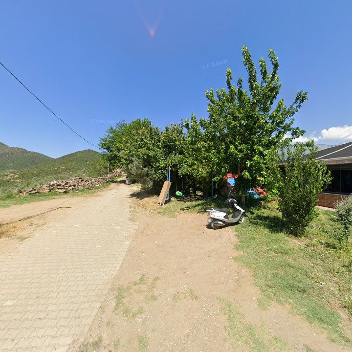 Fotoğraf 9