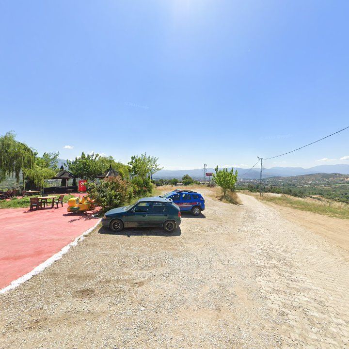 Fotoğraf 7