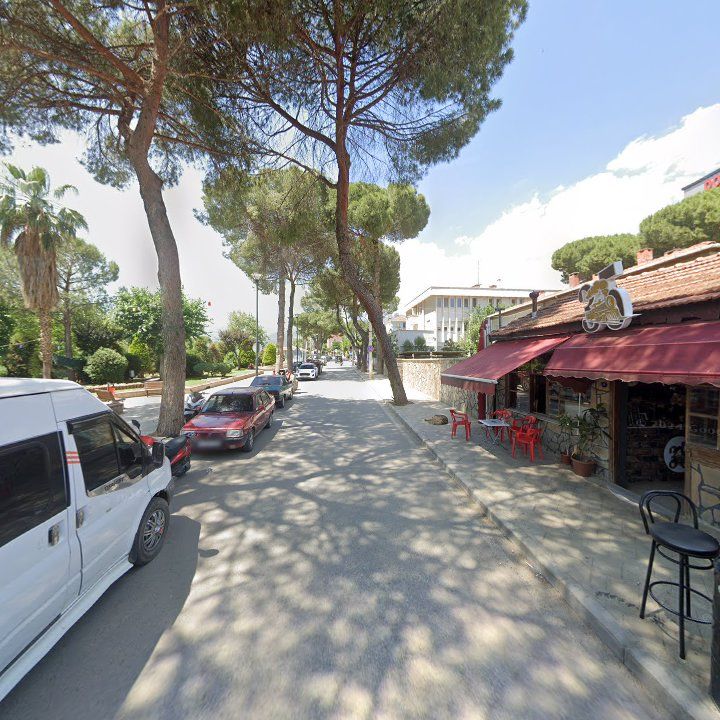 Fotoğraf 8