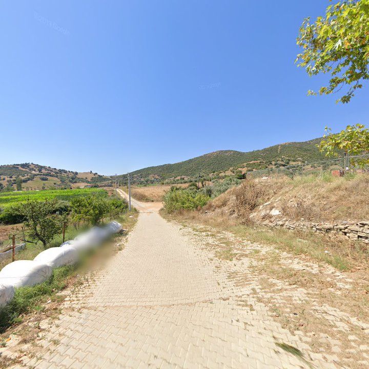 Fotoğraf 8