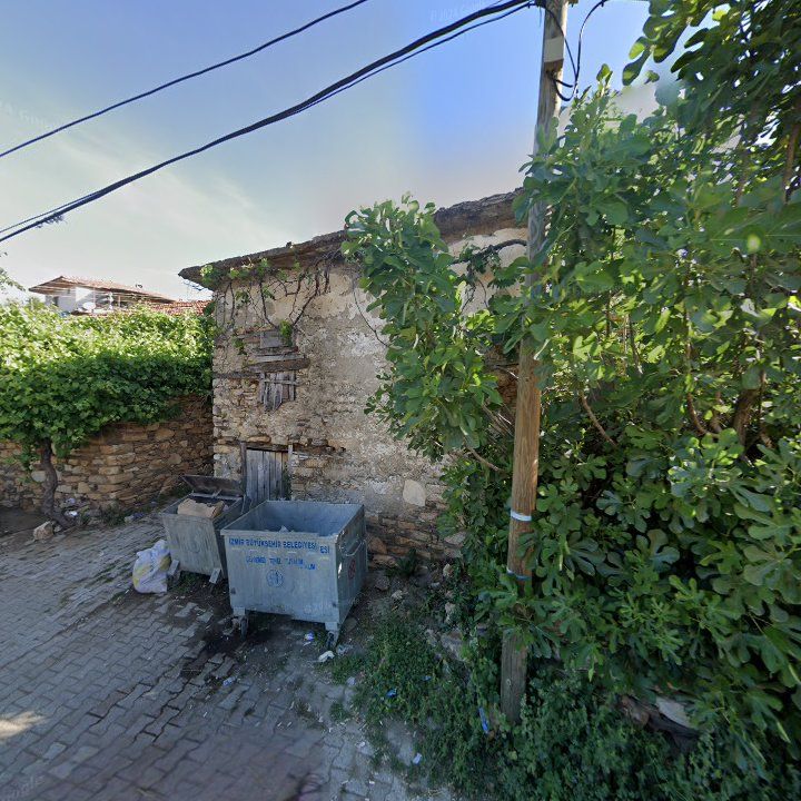 Fotoğraf 3