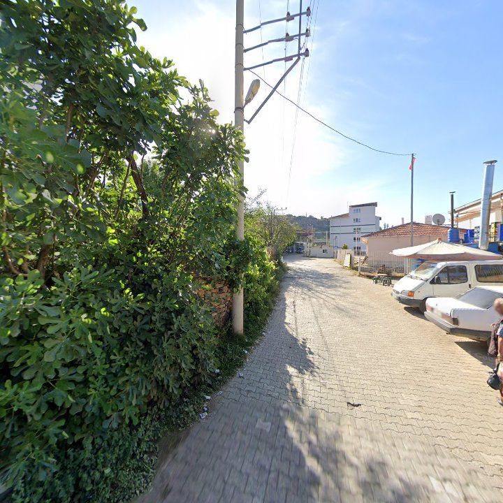 Fotoğraf 4