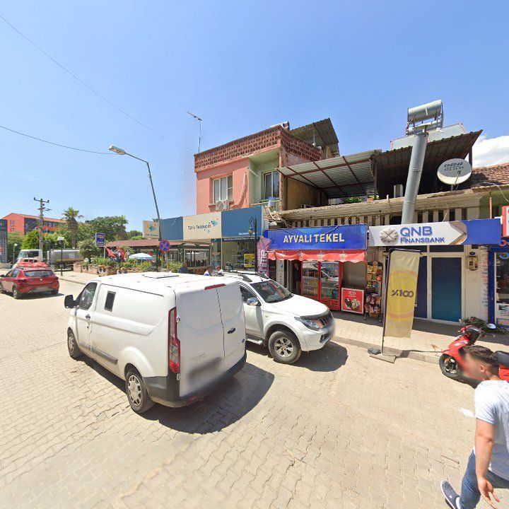 Fotoğraf 3