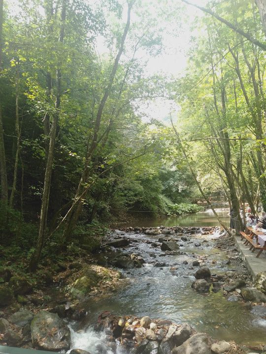 Fotoğraf 49