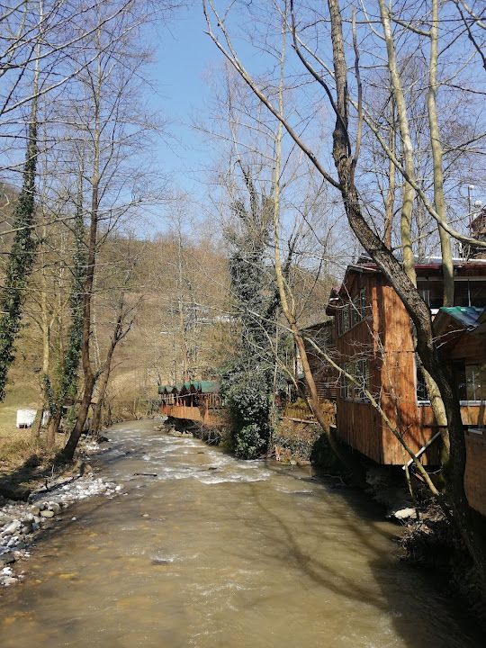 Fotoğraf 19