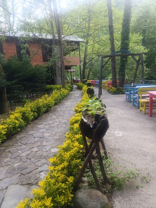 Fotoğraf 15