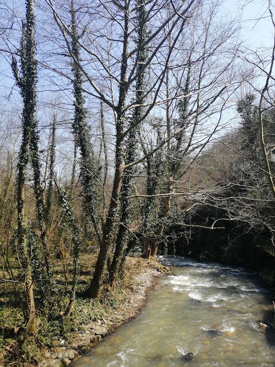 Fotoğraf 20