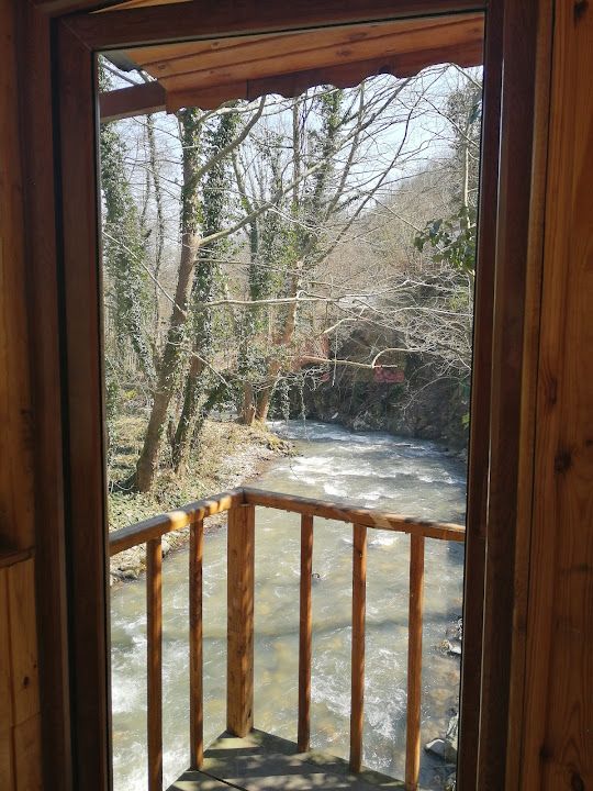 Fotoğraf 21